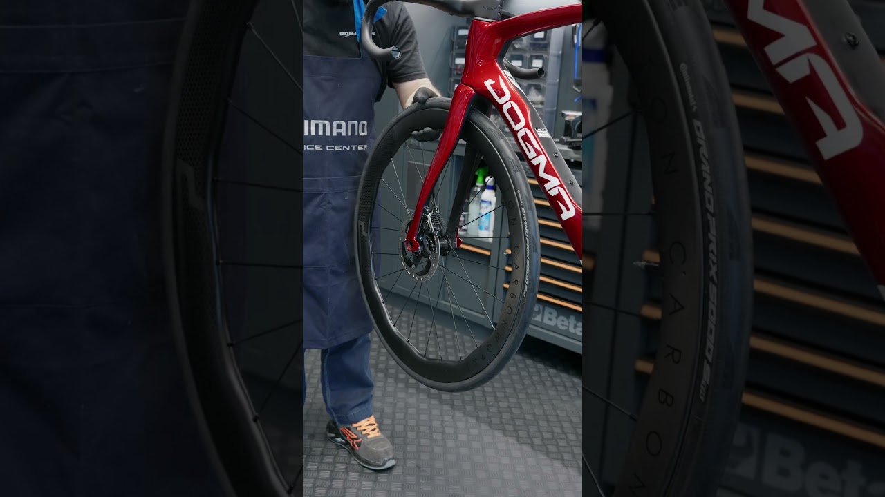 🔧 𝗣𝗶𝗻𝗮𝗿𝗲𝗹𝗹𝗼 𝗗𝗼𝗴𝗺𝗮 𝗙 - 𝗦𝘁𝗮𝗿𝗿𝘆 𝗥𝗲𝗱, 𝗮𝗻𝗴𝗲𝗴𝗿𝗶𝗳𝗳𝗲𝗻 𝗯𝗲𝗳𝗼𝗹𝗴𝗲 𝗳𝗮𝗿𝗯𝗵𝗮𝗹𝘁𝗲 𝗙𝗮𝗿𝗯𝗲 🔴